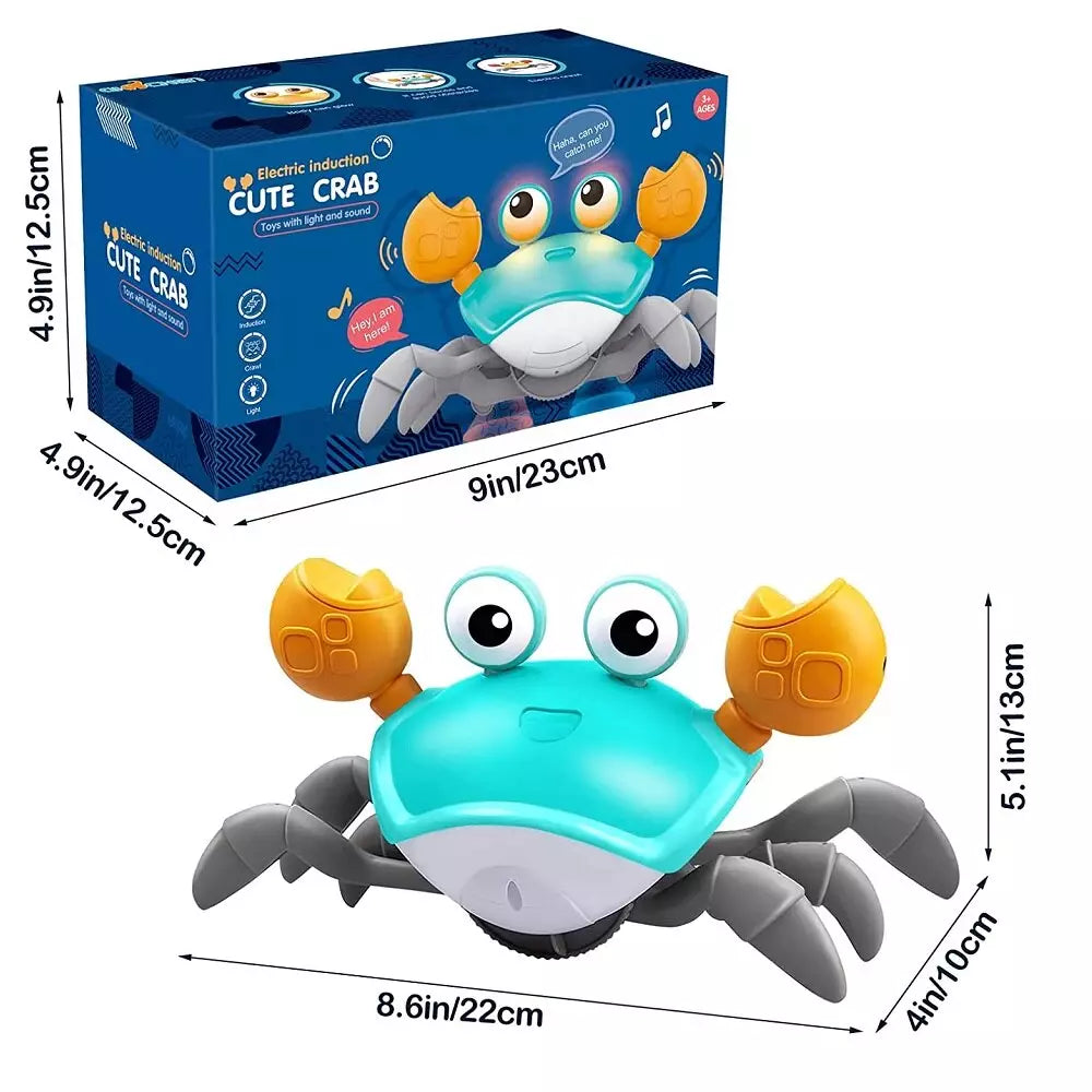 Crawling Crab Sensory Toy